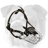 Wire Basket English Bulldog Muzzle with Leather Straps  Wire Basket English Bulldog Muzzle with Leather Straps