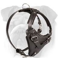 Leather Connector, Fits Bulldog Chest Harness