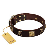 "Crazy Pirate" FDT Artisan Brown Leather English Bulldog Collar with Old Bronze-Plated Skulls and Plates  "Crazy Pirate" FDT Artisan Brown Leather English Bulldog Collar with Old Bronze-Plated Skulls and Plates