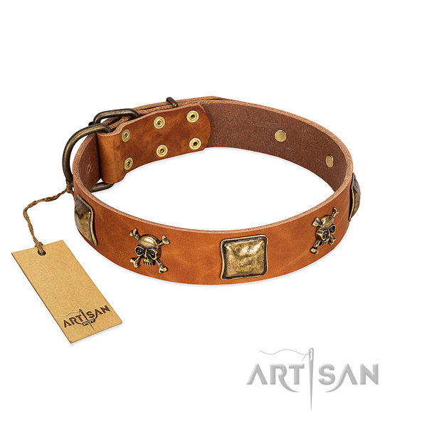 Designer full grain leather dog collar with rust-proof studs