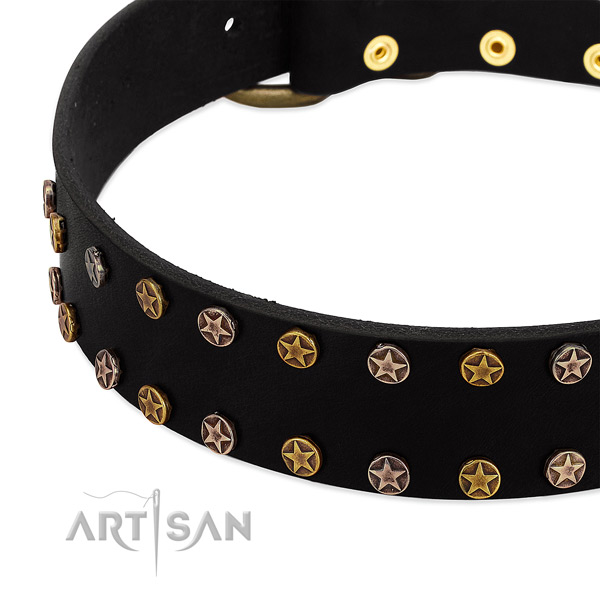 Inimitable studs on genuine leather collar for your canine