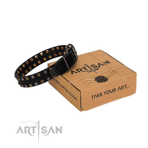 Full grain natural leather collar with exceptional studs for your canine