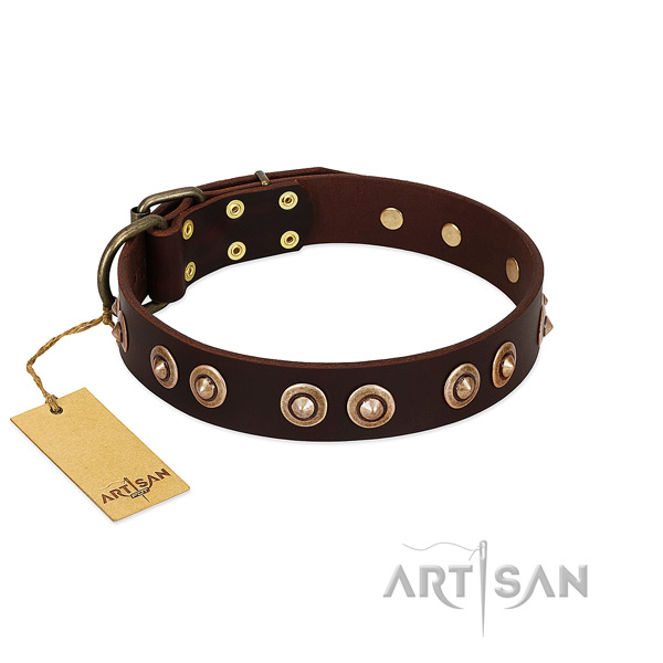 Durable studs on full grain natural leather dog collar for your canine