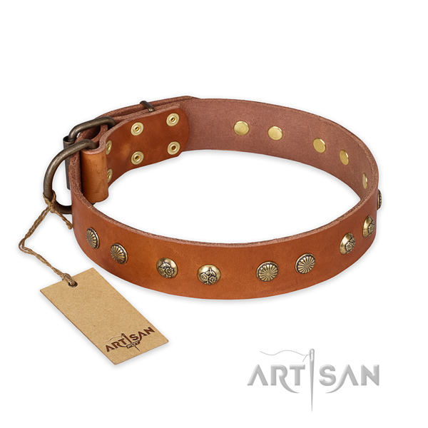 Extraordinary natural genuine leather dog collar with strong fittings