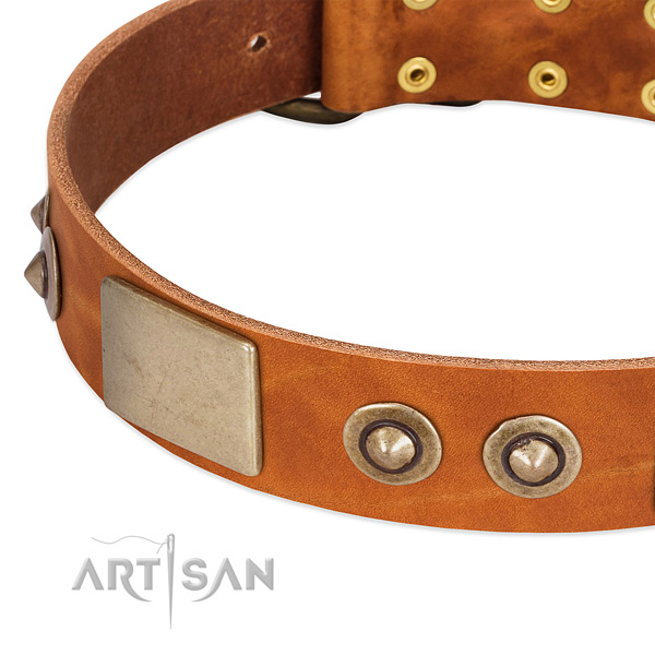 Corrosion proof traditional buckle on full grain leather dog collar for your dog
