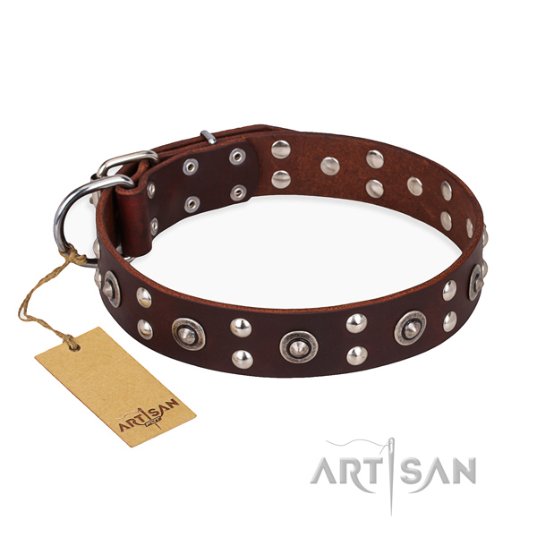 Walking unusual dog collar with rust resistant hardware