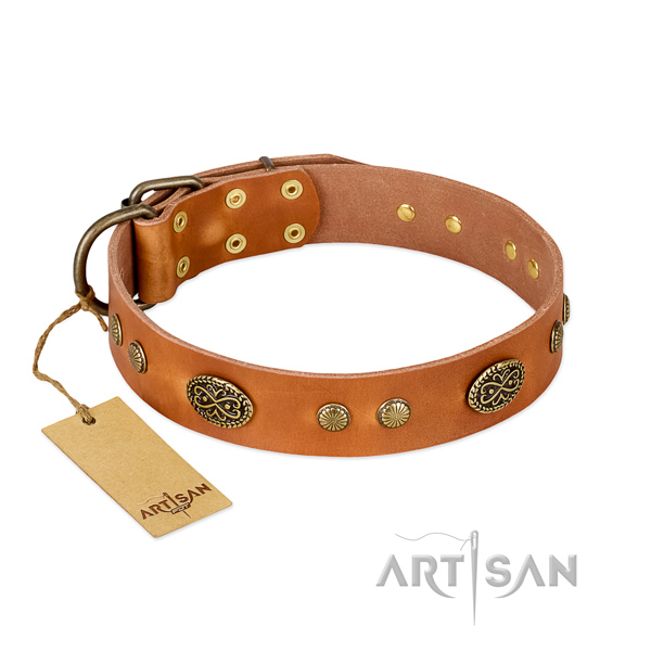 Corrosion resistant adornments on full grain natural leather dog collar for your dog