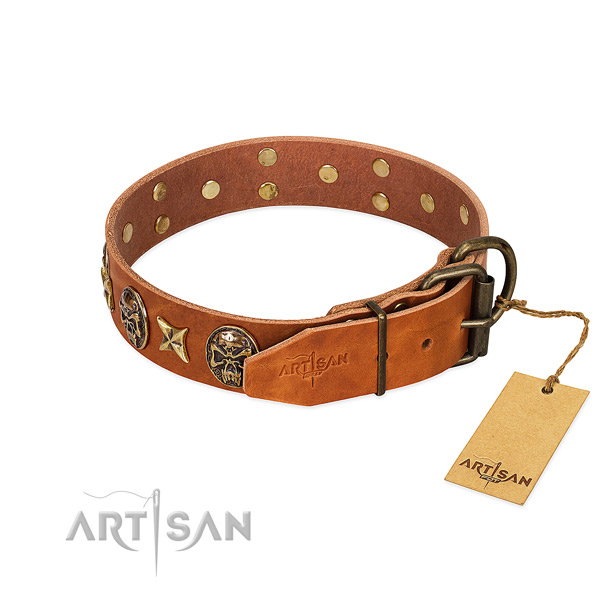 Full grain leather dog collar with strong hardware and adornments