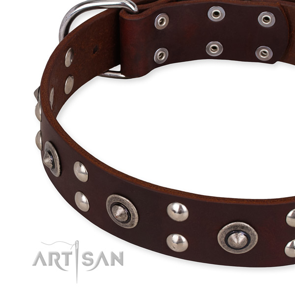 Full grain leather collar with rust-proof fittings for your handsome pet