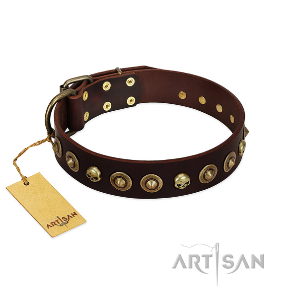 Leather collar with amazing embellishments for your dog