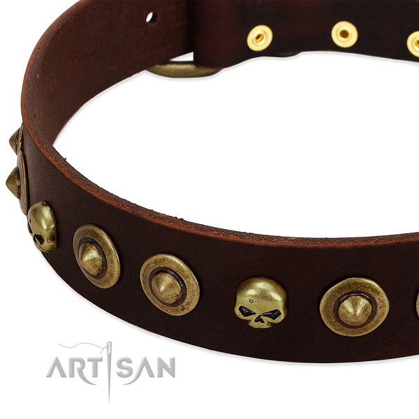 Awesome embellishments on full grain genuine leather collar for your pet