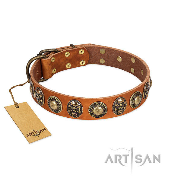 Easy wearing full grain leather dog collar for basic training your dog