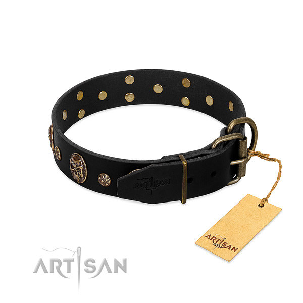 Corrosion proof studs on genuine leather dog collar for your pet
