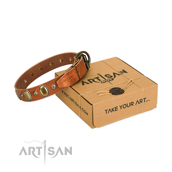 Impressive leather dog collar with corrosion proof buckle