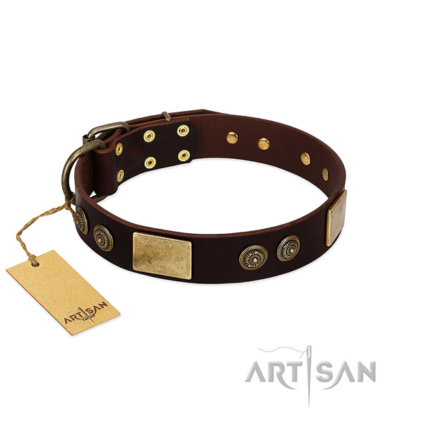 Durable D-ring on full grain natural leather dog collar for your four-legged friend