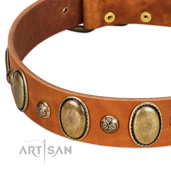 Leather dog collar with amazing embellishments