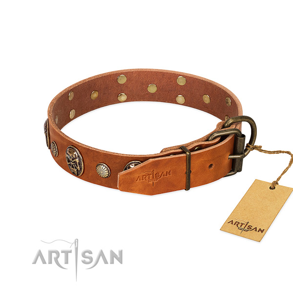 Durable fittings on full grain genuine leather collar for fancy walking your canine