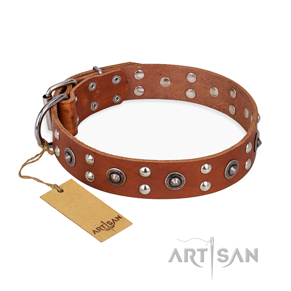 Everyday use fine quality dog collar with durable traditional buckle
