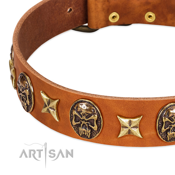 Reliable embellishments on full grain leather dog collar for your four-legged friend