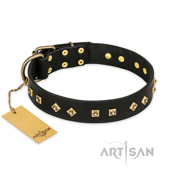 Stunning leather dog collar with durable D-ring