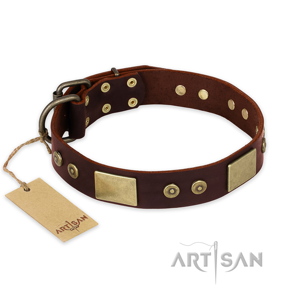 Stunning natural genuine leather dog collar for stylish walking