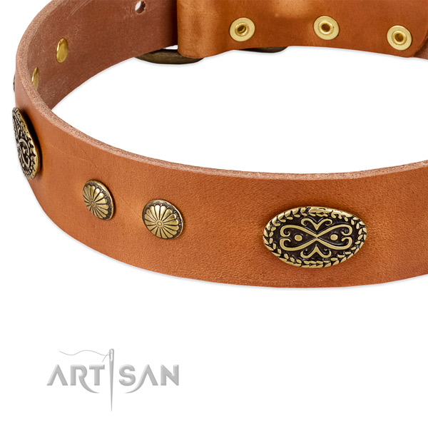Corrosion proof decorations on full grain natural leather dog collar for your canine