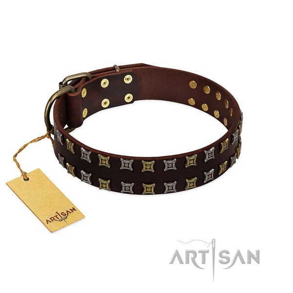 Quality full grain natural leather dog collar with decorations for your four-legged friend