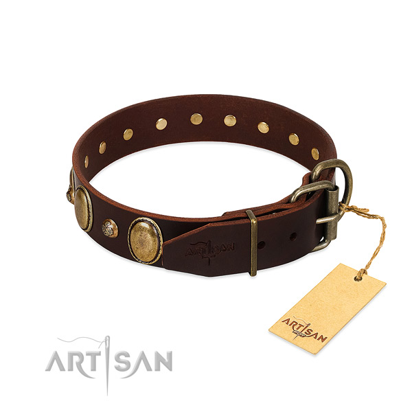 Rust resistant D-ring on genuine leather collar for everyday walking your canine