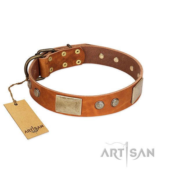 Easy adjustable full grain genuine leather dog collar for walking your four-legged friend
