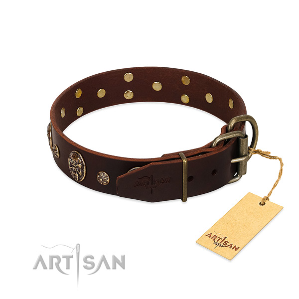 Strong adornments on full grain natural leather dog collar for your dog