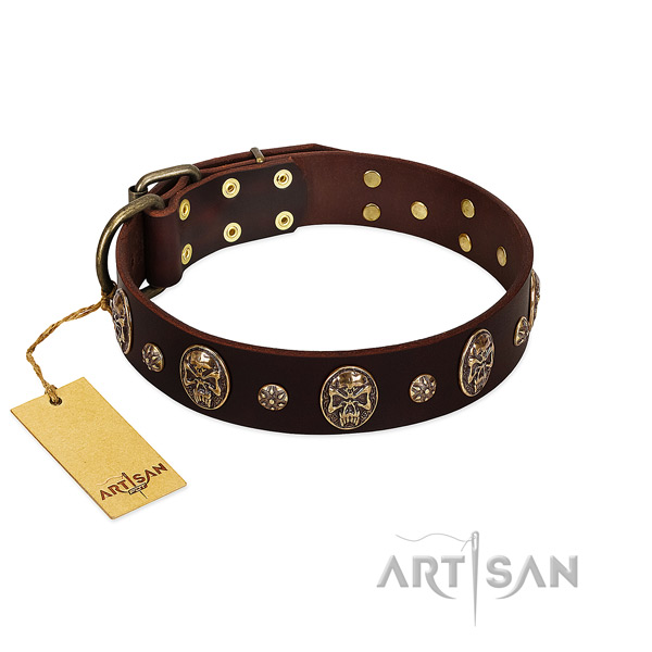 Incredible full grain leather collar for your four-legged friend