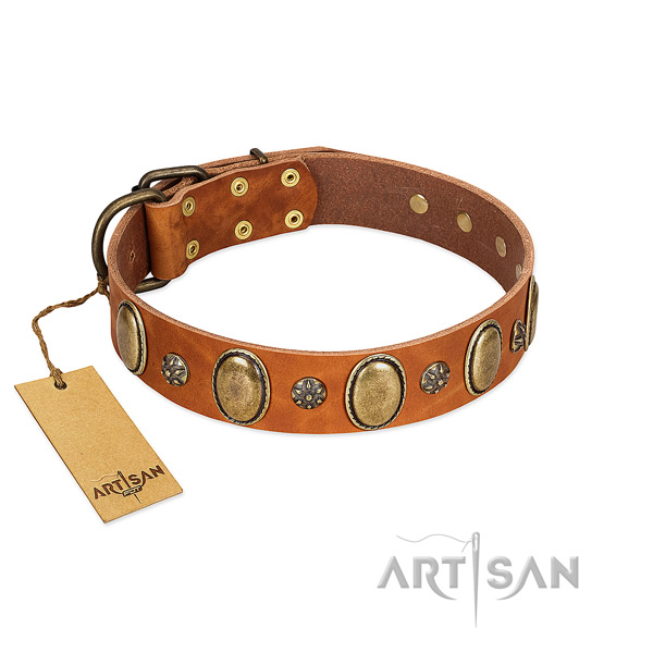 Stylish walking gentle to touch genuine leather dog collar with decorations
