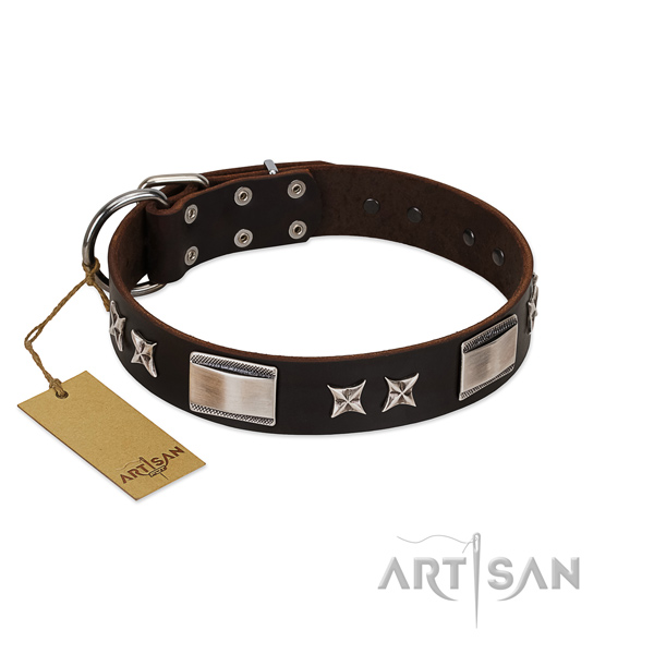 Amazing dog collar of full grain natural leather