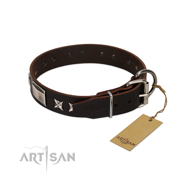 Unique collar of leather for your beautiful doggie