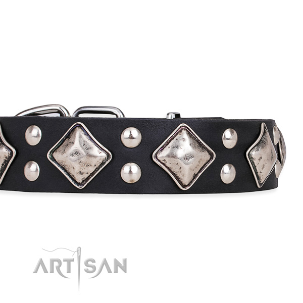 Leather dog collar with top notch durable decorations