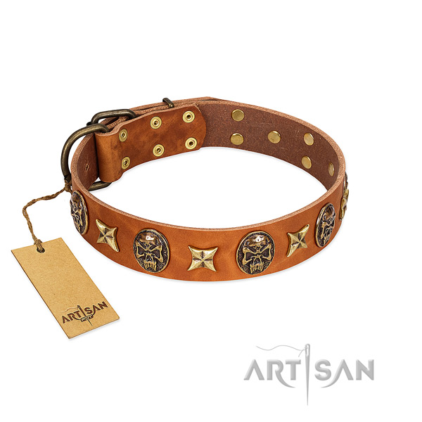 Unique leather collar for your dog