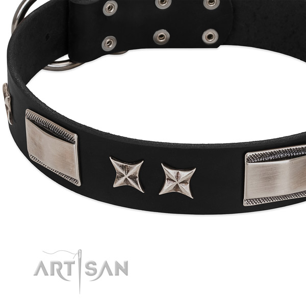 Reliable genuine leather dog collar with reliable buckle