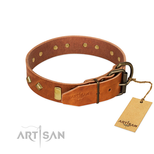 Everyday walking full grain leather dog collar with incredible embellishments