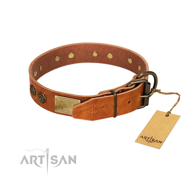 Rust-proof hardware on full grain leather collar for fancy walking your pet