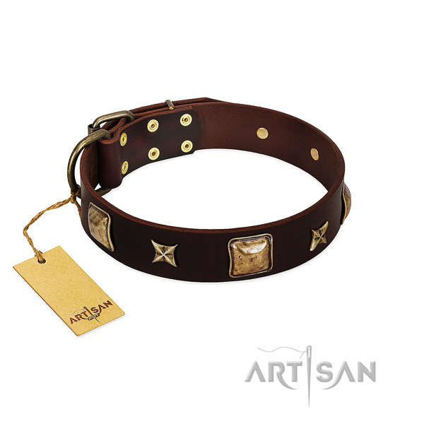 Embellished full grain natural leather collar for your dog