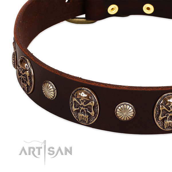 Leather dog collar with adornments for everyday walking