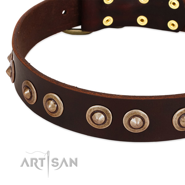 Rust-proof studs on leather dog collar for your dog