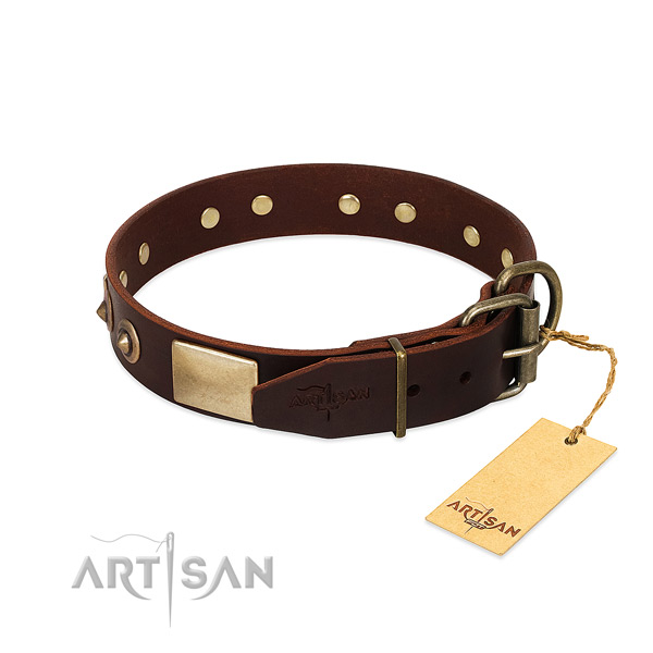 Corrosion resistant embellishments on everyday walking dog collar