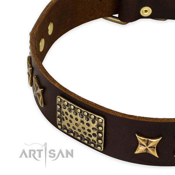 Full grain leather collar with rust resistant fittings for your stylish dog