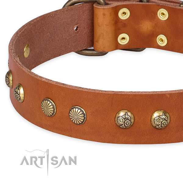 Full grain leather collar with reliable hardware for your beautiful dog