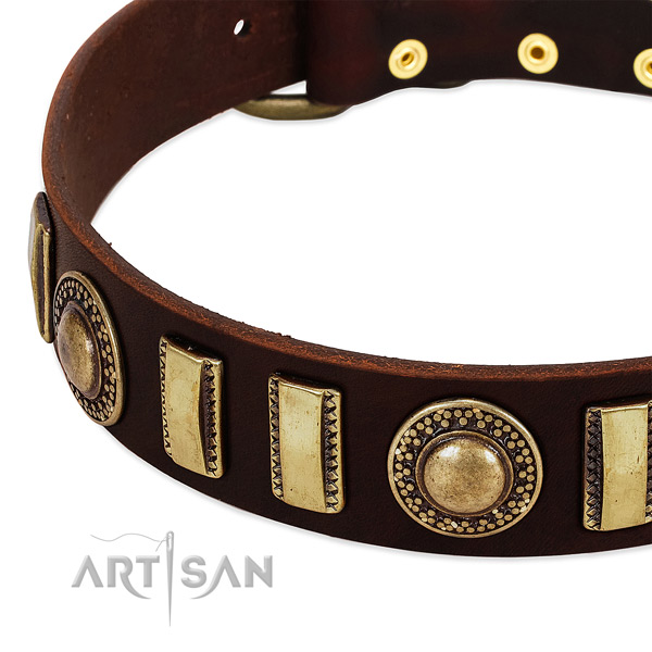 High quality full grain leather dog collar with durable traditional buckle