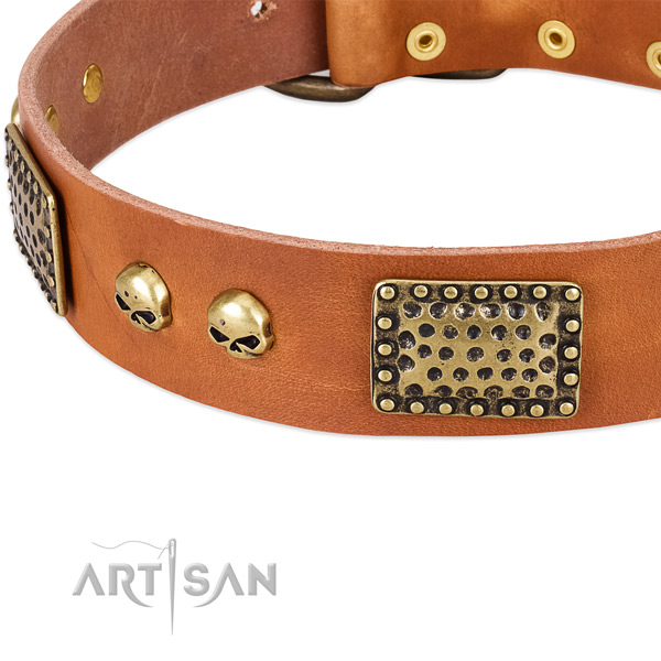 Durable traditional buckle on leather dog collar for your doggie