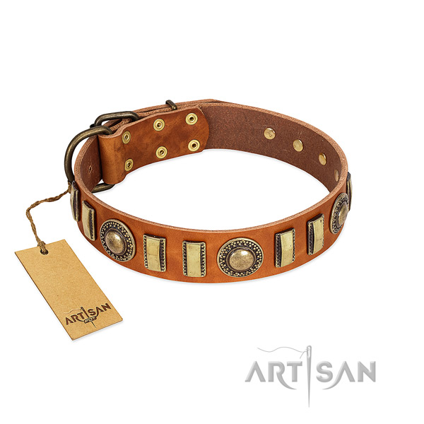 Incredible full grain leather dog collar with rust resistant hardware