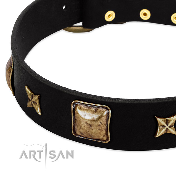 Natural leather dog collar with incredible decorations