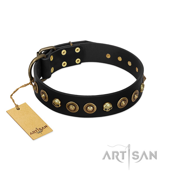 Natural leather collar with stylish embellishments for your pet